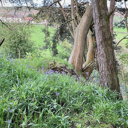 Church House Farm Danby ภายนอก รูปภาพ