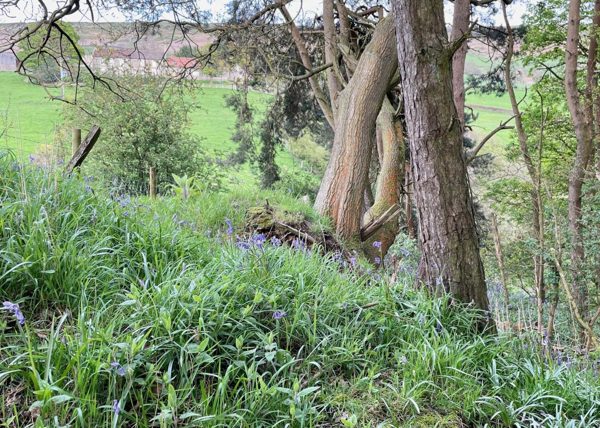 Church House Farm Danby ภายนอก รูปภาพ