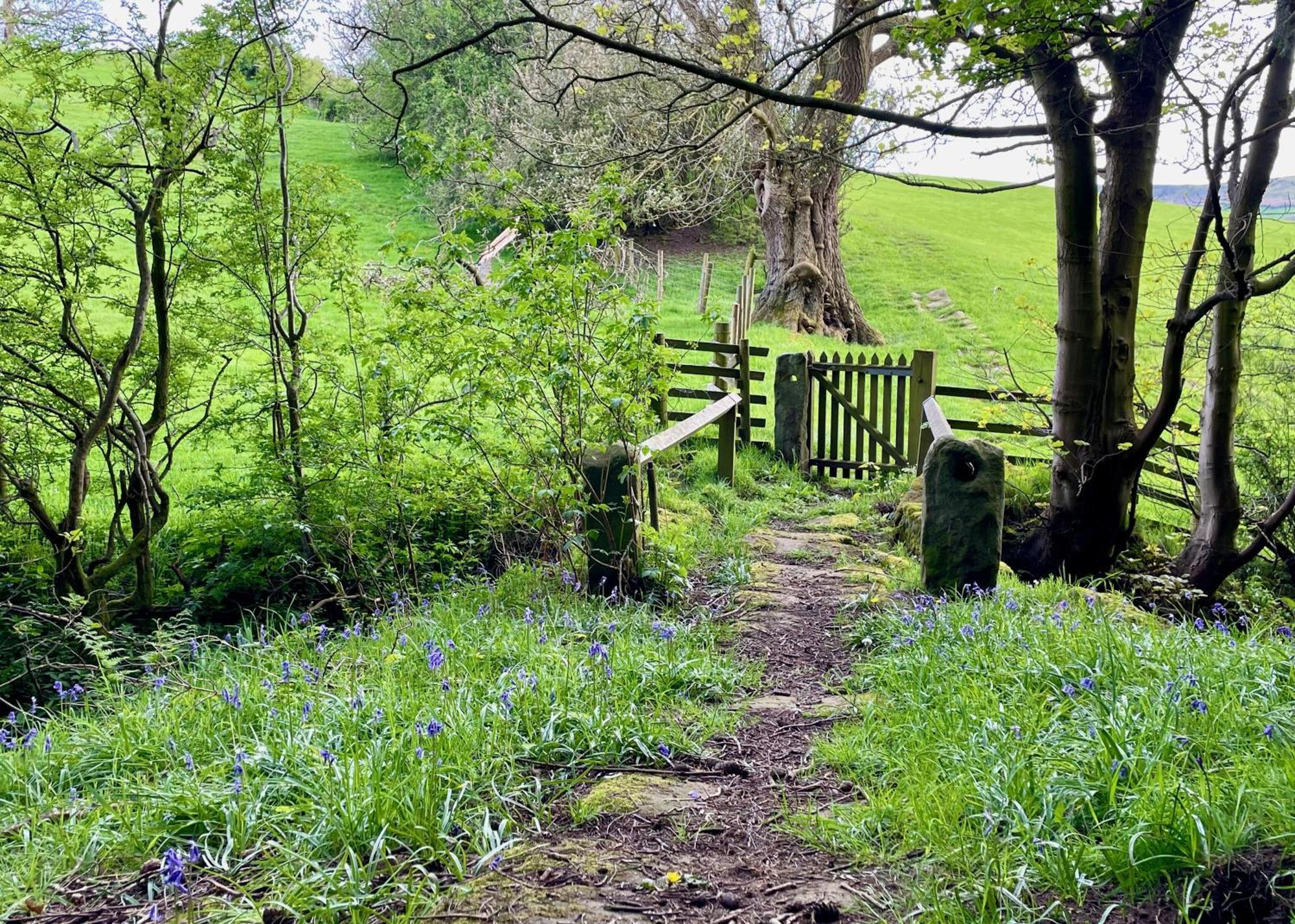 Church House Farm Danby ภายนอก รูปภาพ